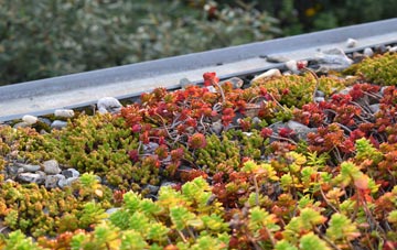 the cost of Corfe green roof installation