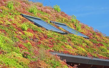 Corfe living roof systems